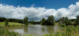 Picture of the fidhing lake at Highwoods Country Park